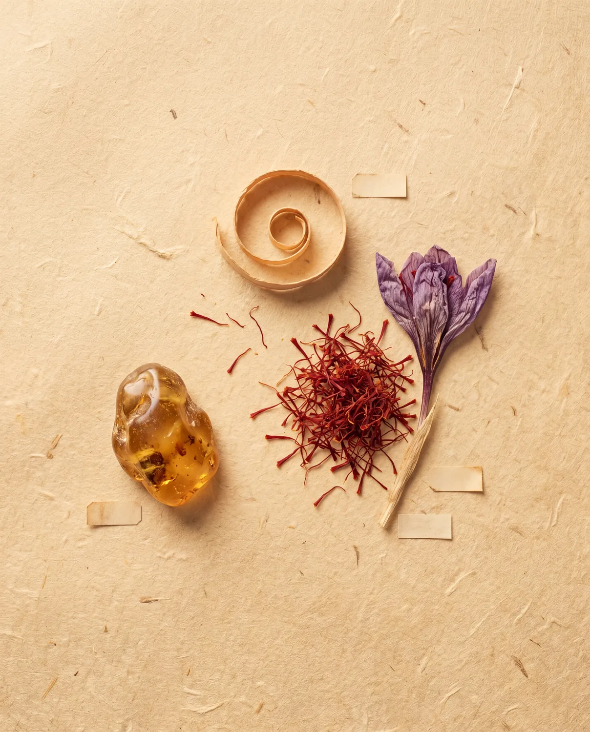 Ember — pressed botanicals