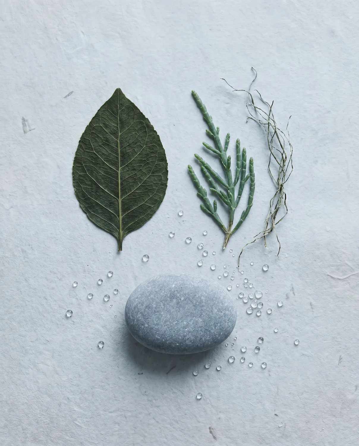 Open Water — pressed botanicals