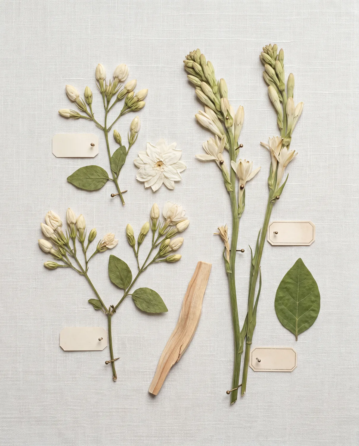 Night Bloom — pressed botanicals